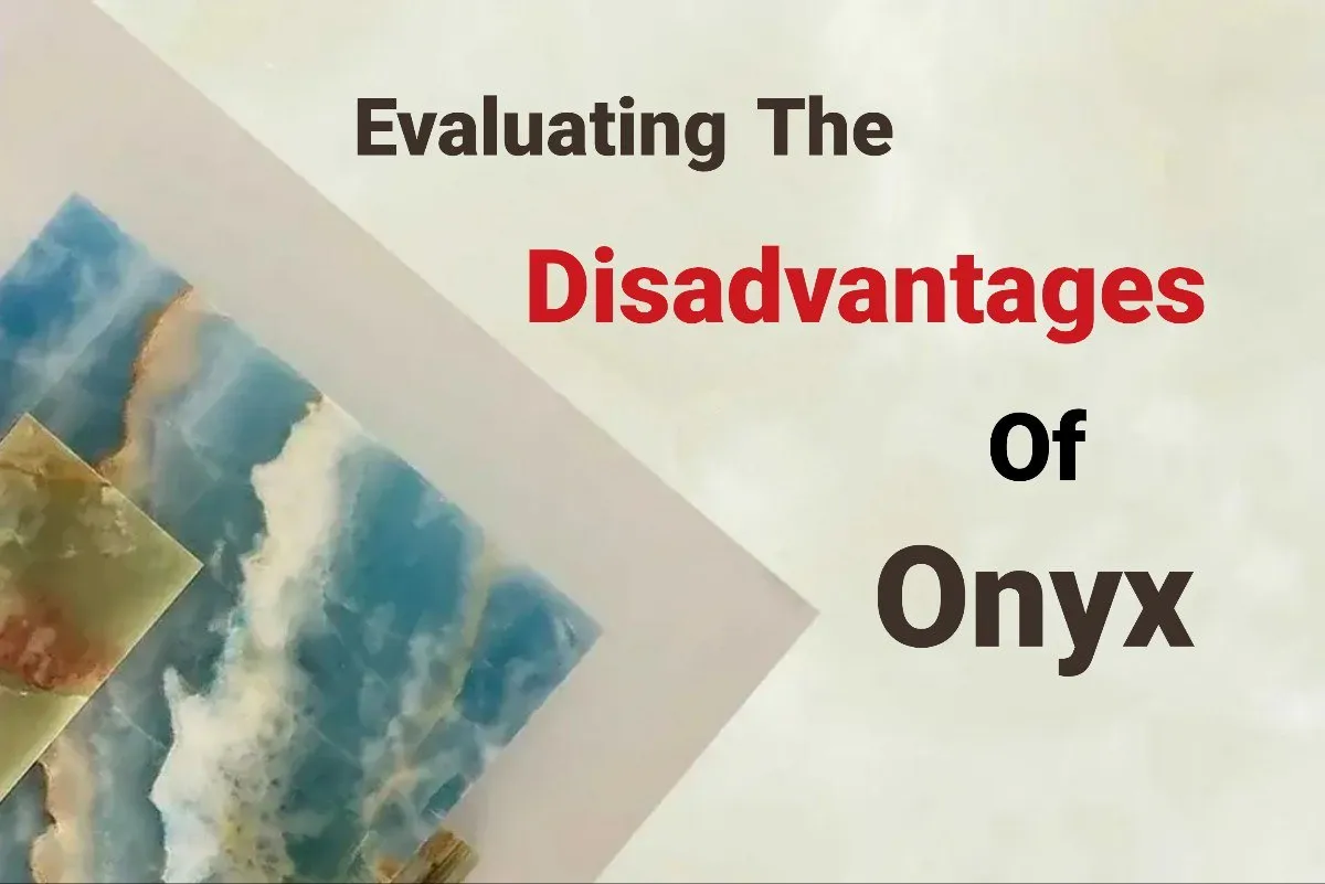 Evaluating The Disadvantages Of Onyx