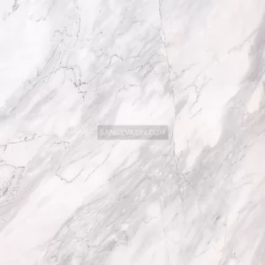Aligoudarz Bianco crystal marble texture